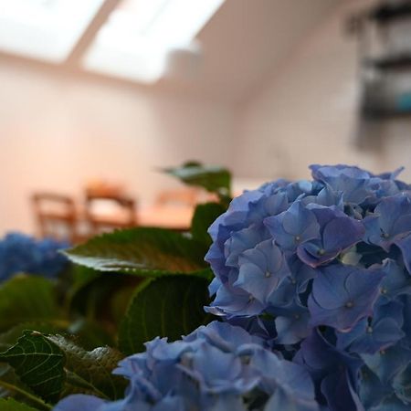 Krakovska Apartments Ljubljana Ngoại thất bức ảnh