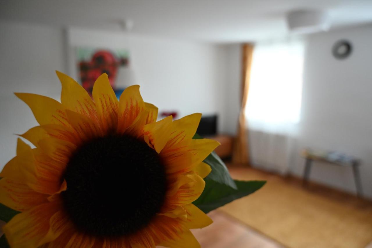 Krakovska Apartments Ljubljana Ngoại thất bức ảnh